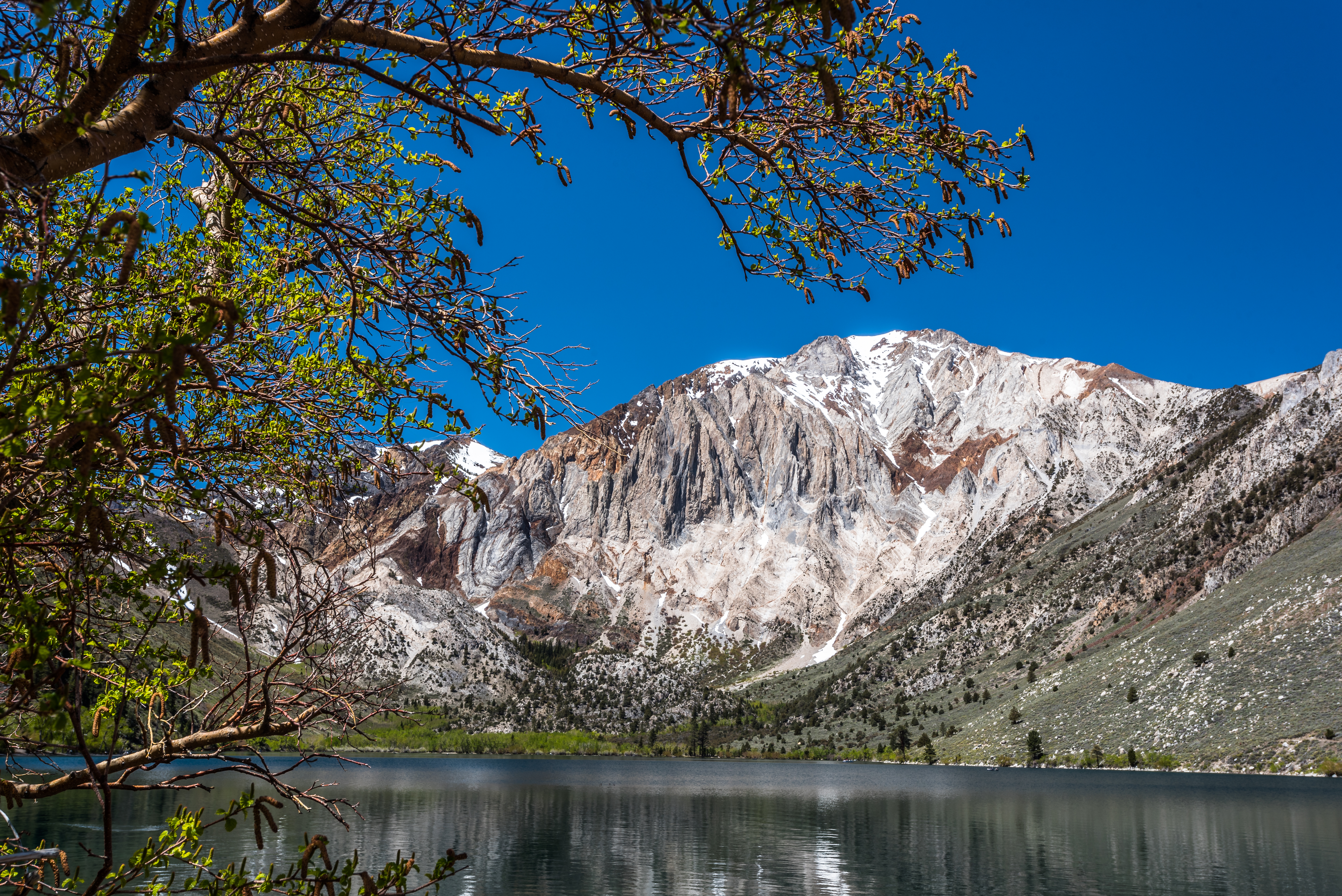 Laurel Mountain Convict Lake