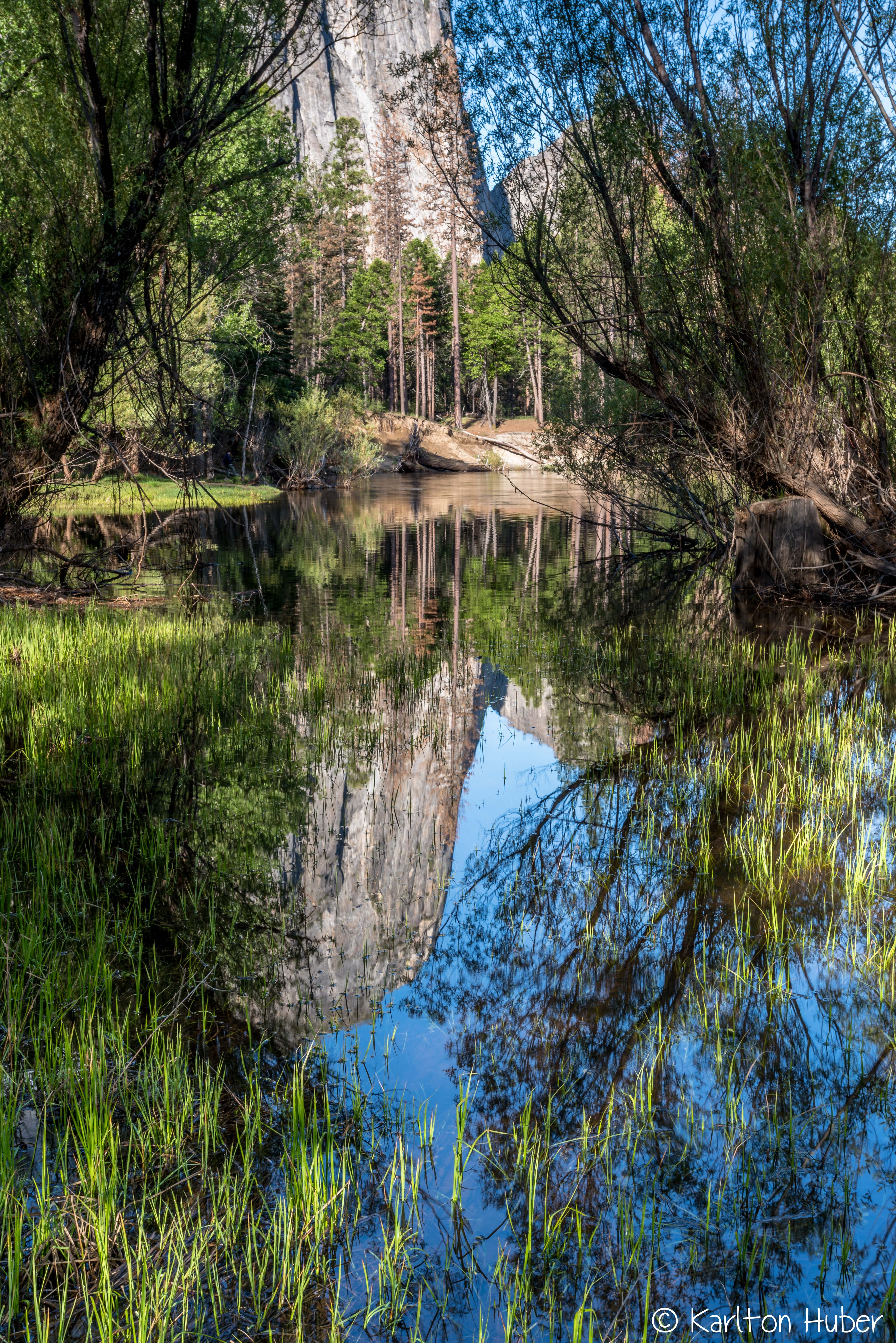Yosemite Valley - Seclusion_4695