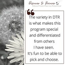 (25) variety in DTR makes program specia
