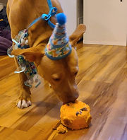 received_3892337247471534 (1).jpeg