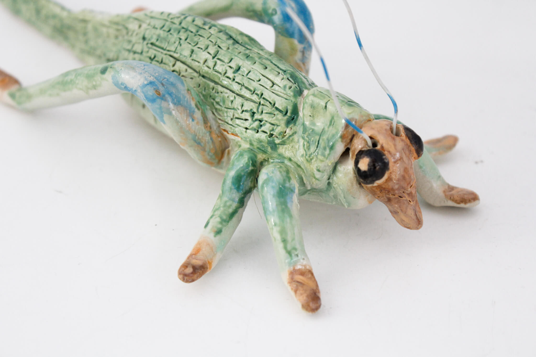 Green Black Singing Cricket