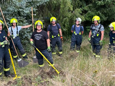 Brennendes Interesse für die Vegetation