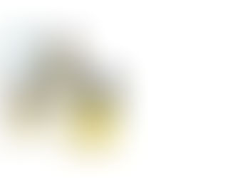 BƠM ĐỊNH LƯỢNG MILTON – ROY