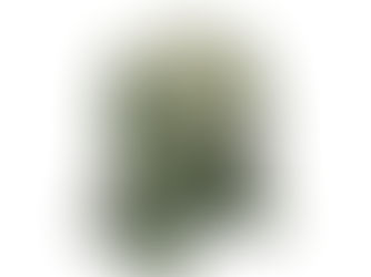 HỘP SỐ GIẢM TỐC TRỤC VÍT BÁNH VÍT