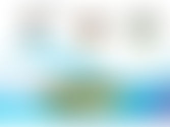 Tài liệu kỹ thuật nuôi tôm