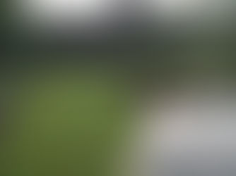 Các phương pháp xử lý nước thải trong điều kiện tự nhiên