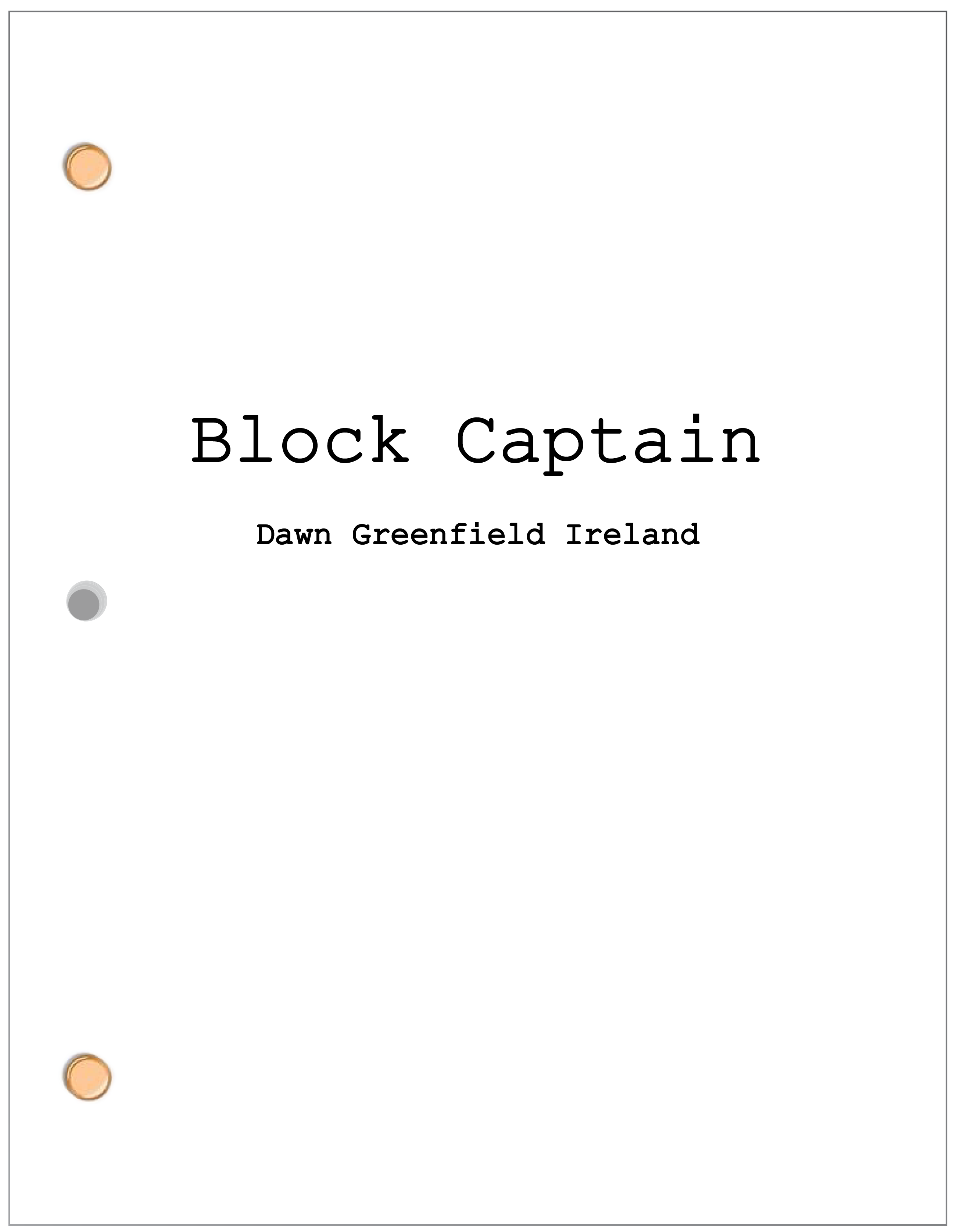 Block Captain_5.webp