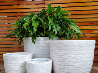 BAMBOO POT RANGE