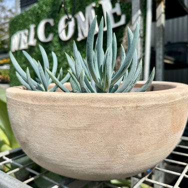 PALERMO LOW BOWL