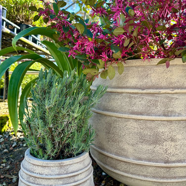 BRAID ANTIQUE BELLY POT RANGE