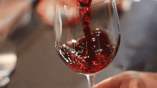 Adirondack Wine & Food Festival
