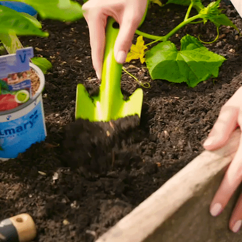 2020 Garden Day