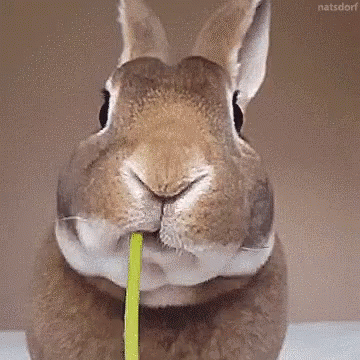 The Grandview Easter Sunday Buffet
