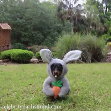 Easter Sunday Brunch Buffet
