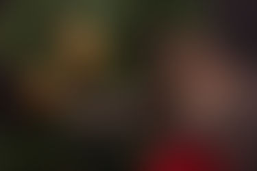 Day 237: Christmas Tree