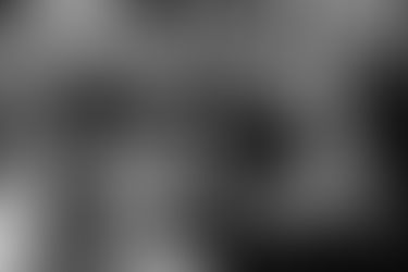 Day 206: Interview with the Collecter