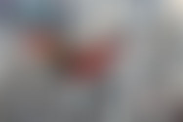 Day 235: A Nutty Life in a Shell