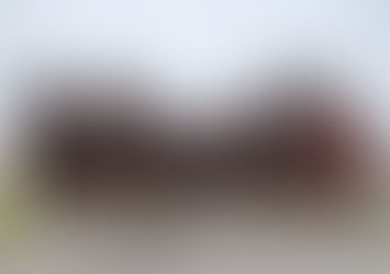 Day 290: Budweiser Haiku