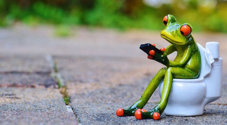 Day 305: Toilet Nightmare