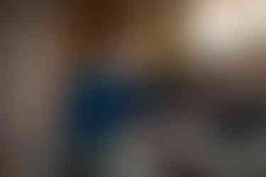 Dr Coccia-Portugal BCC (1).jpg