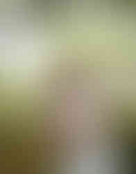 Anieke & Luan 67.jpg