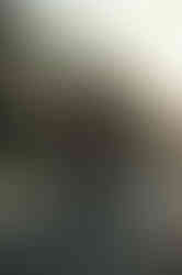 Charinda & Theo -105.jpg