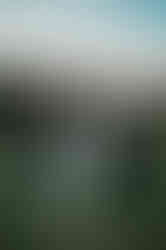 Ziske & Tyler  (252).jpg