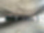 IMG_2248 Medium.png