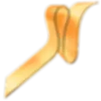 74-Lioonnize WebElement.webp