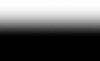 Black Bottom-4.png.jpg