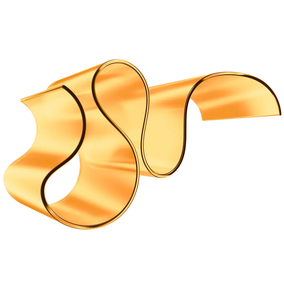 13-Lioonnize WebElement.webp