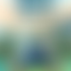 Summer Solstice Event and Camping