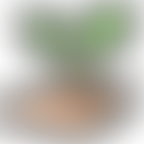 Endowment Fund Meeting