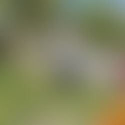 Many thanks for the Spring Clean Up!