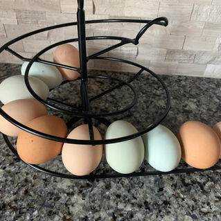 Order Your Mortgage Prevention Eggs Today!