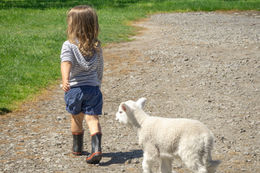 7 ZQ Grower Stations You Can Stay at This Summer Holidays