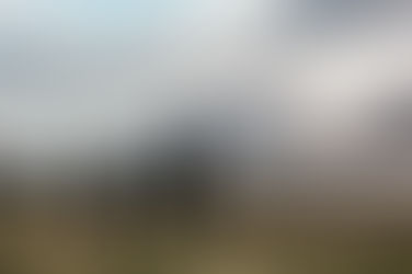 Self Sufficiency - Off grid and thriving