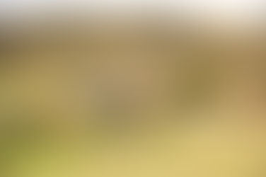 On Farm with Loch Linnhe