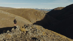 The humans behind the flock