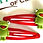 Thumbnail: Froggy Hair Clips x2