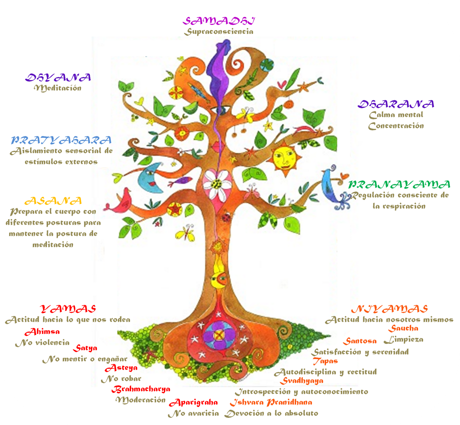 Nuevo curso de FUNDAMENTOS DEL YOGA. La base del yoga y cómo aplicarlo a la vida real