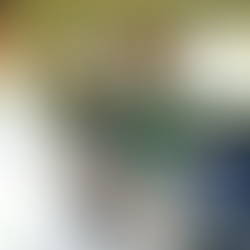 Backseat Drivers: Why CMOs Must Market to the Entire Household