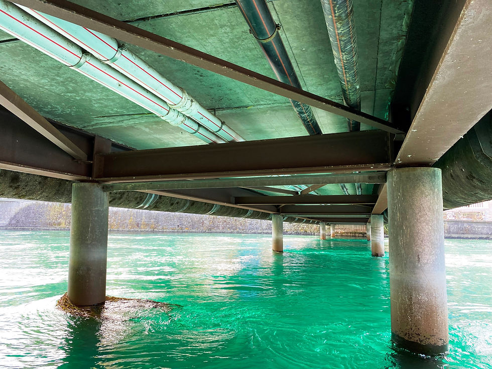 Examen de la passerelle Lavandières à Genève