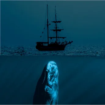Moby Dick Fringe Brochure image.jpg