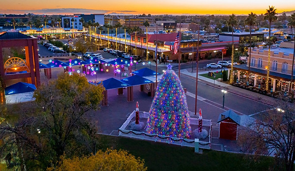 holiday-tumbleweed-tree.jpg