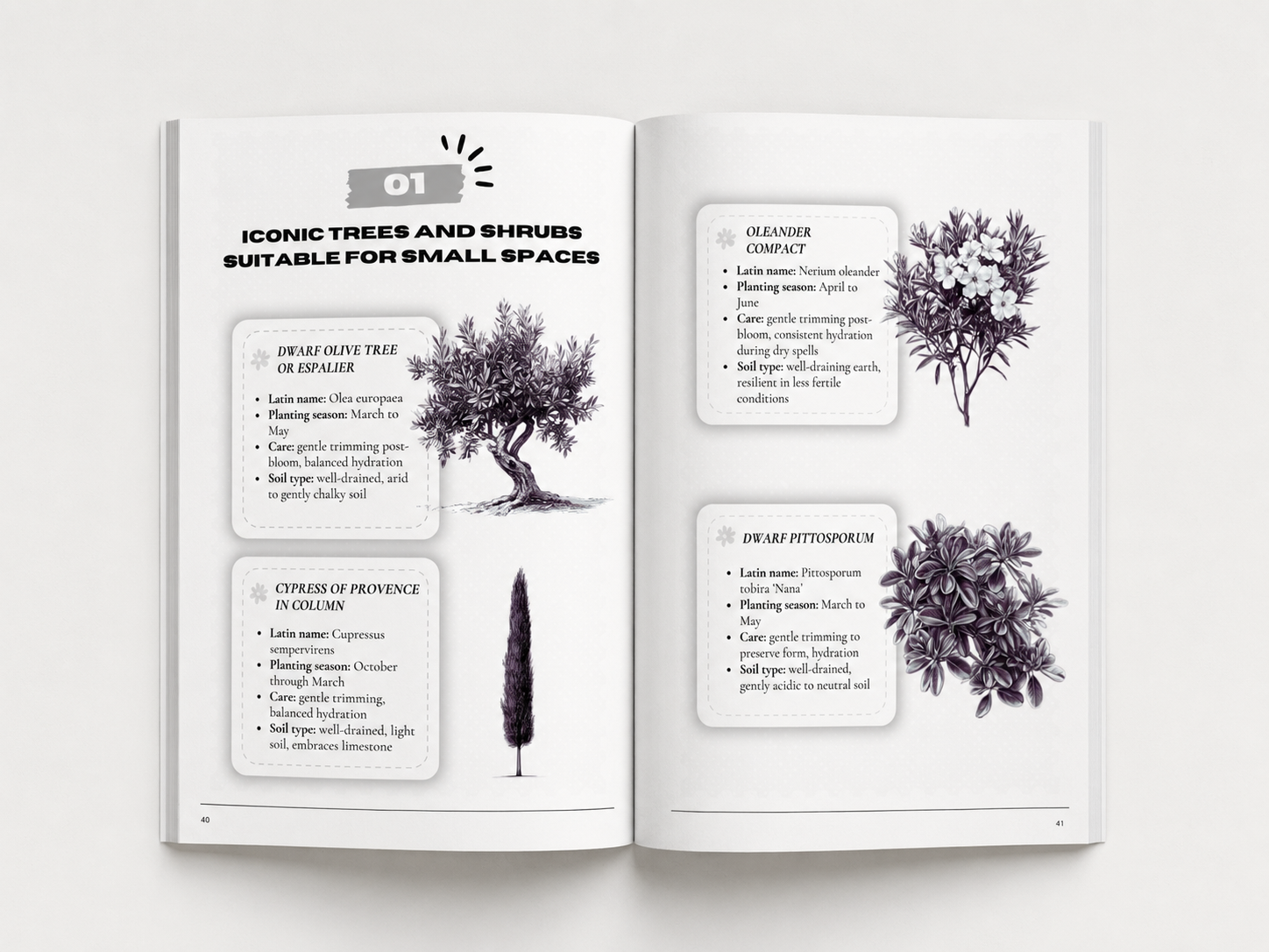 Grow Your Mediterranean Garden In The City