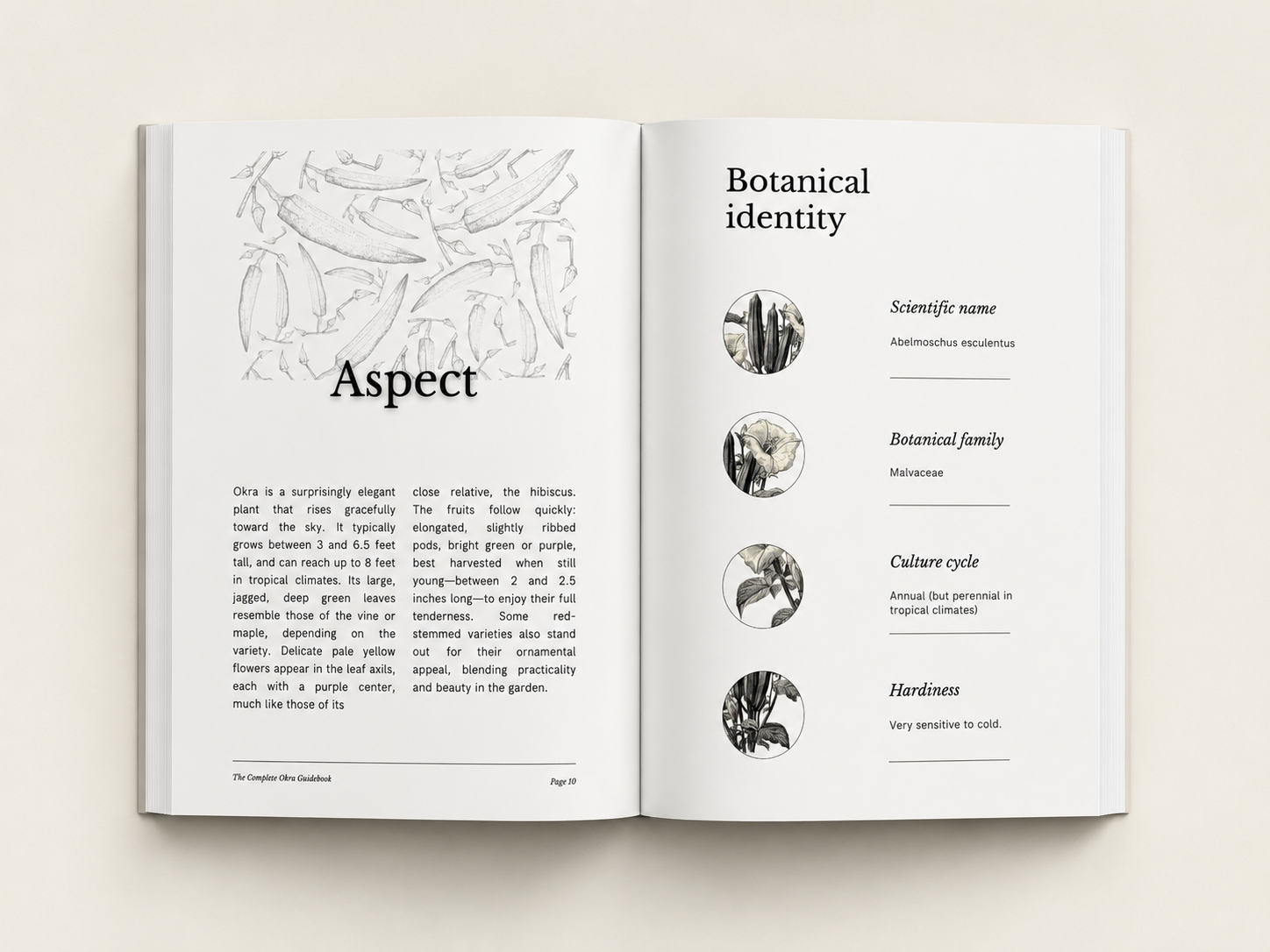 The Complete Okra Guidebook