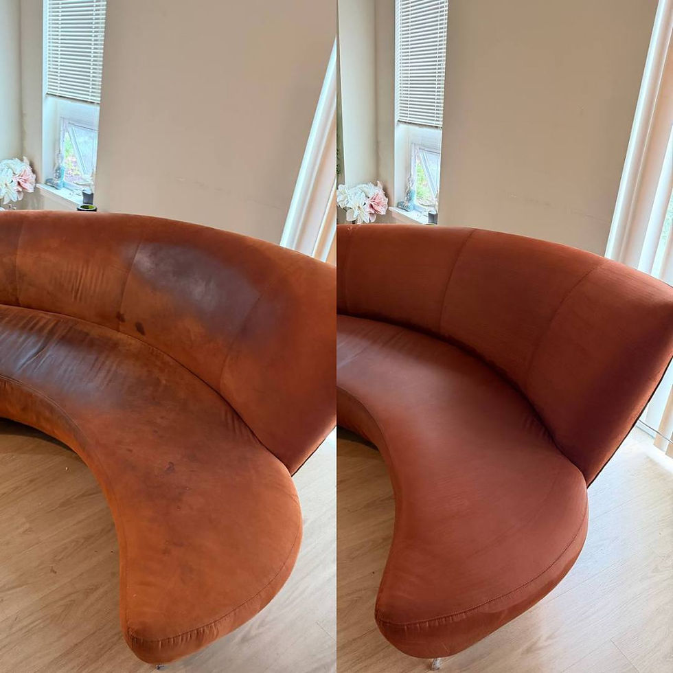 Professional pet accident removal from a fabric sofa in Charlotte, NC