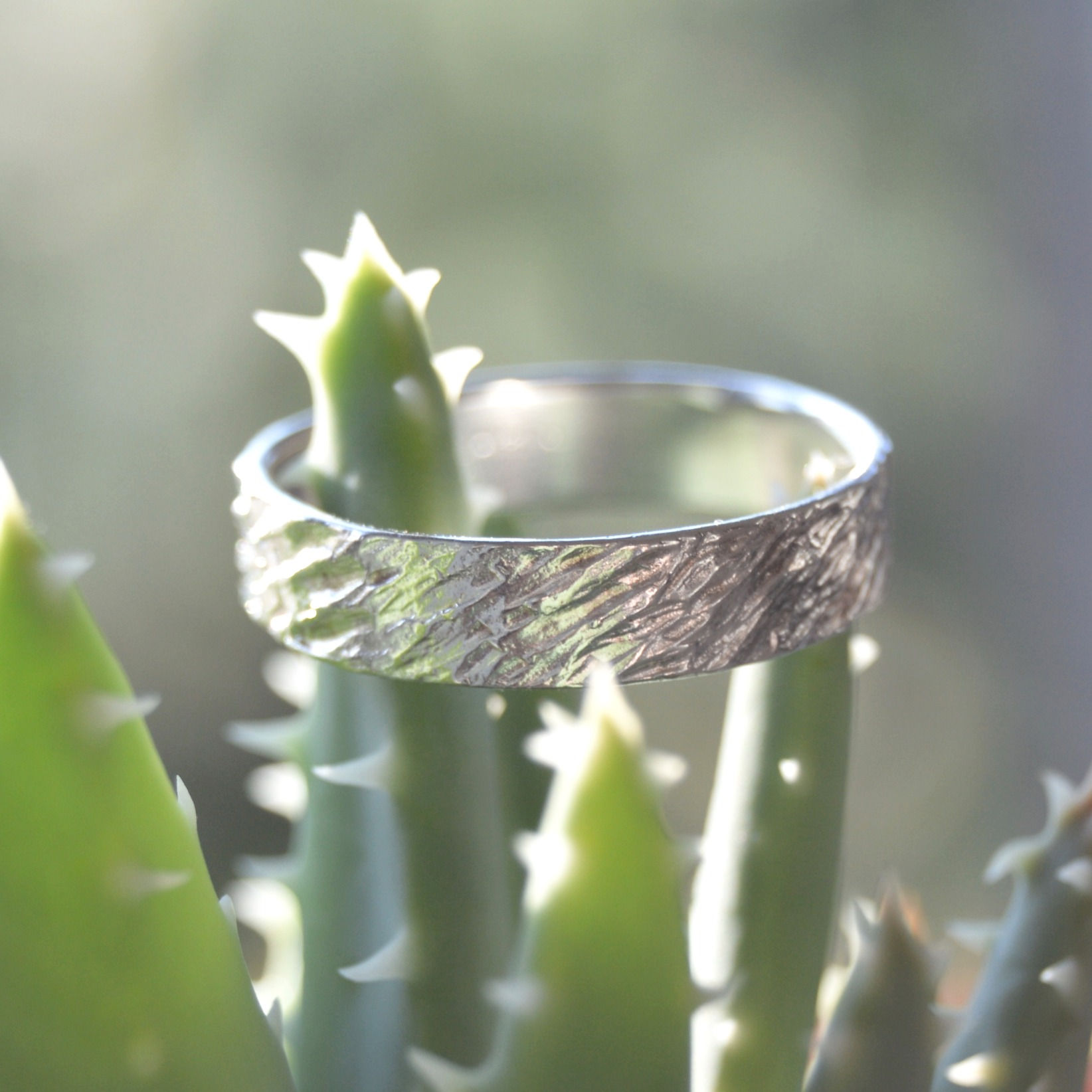 The original Zebra ring