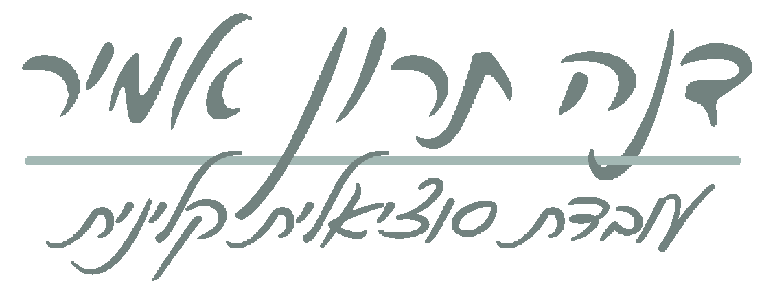 DanaTaronAmir_Logo.gif